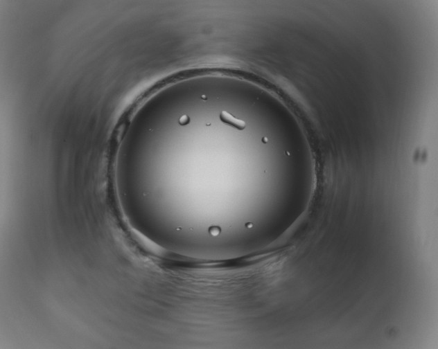 X0000112511364200908241410