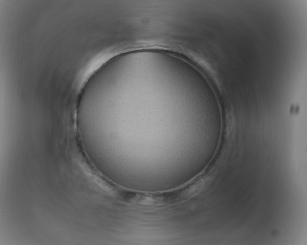 X0000112511365200908241410