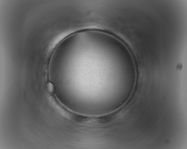 X0000112511367200908241410