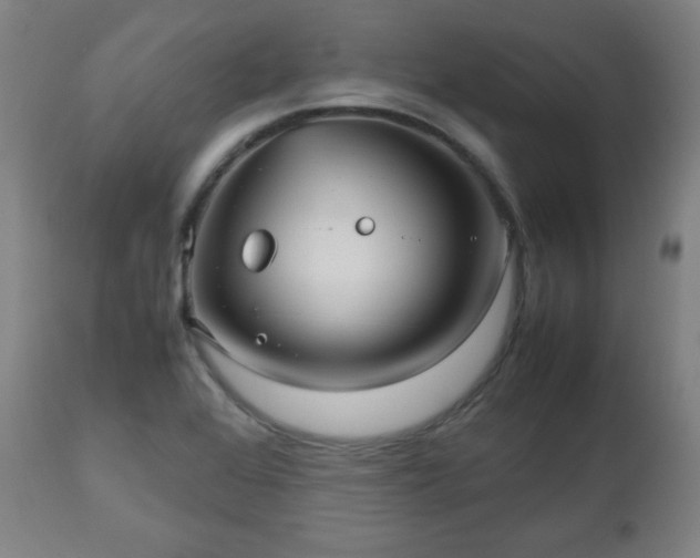 X0000112511368200908241410