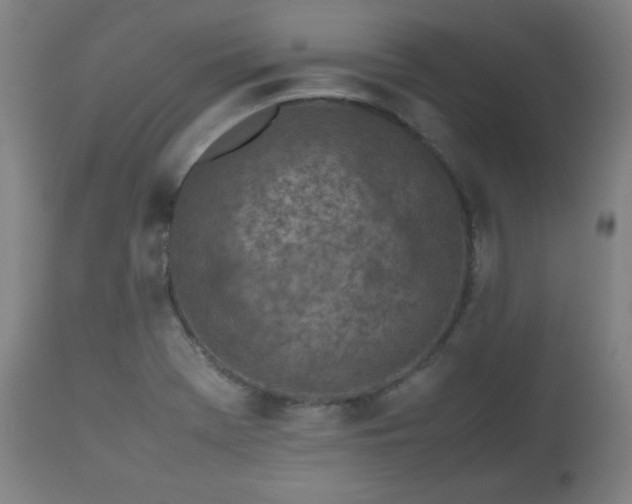 X0000112511369200908241409