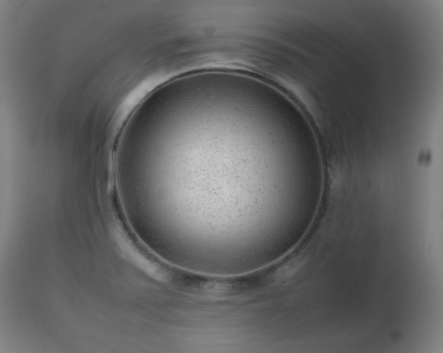 X0000112511371200908241409