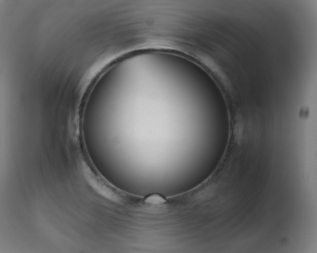 X0000112511372200908241409