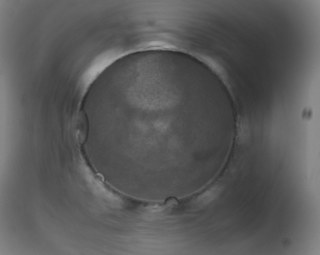 X0000112511373200908241409