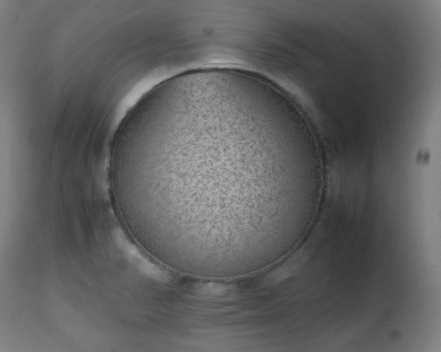 X0000112511374200908241409