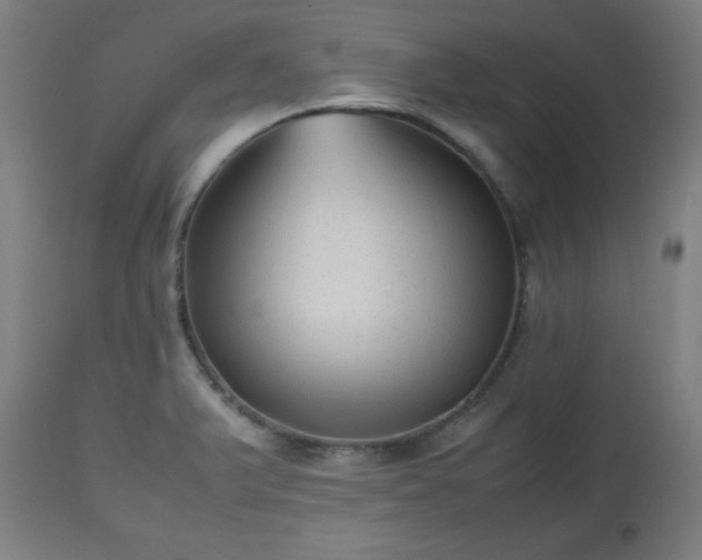 X0000112511375200908241409