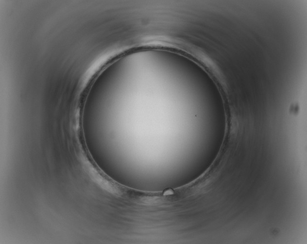 X0000112511376200908241409