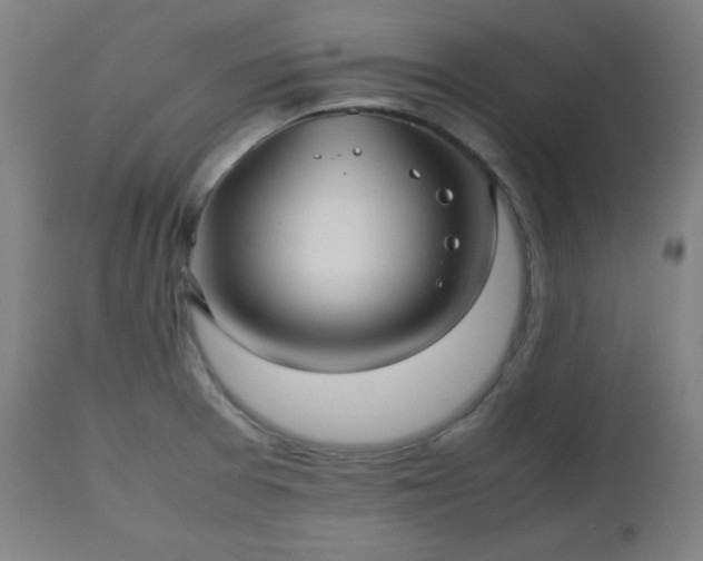 X0000112511377200908241409