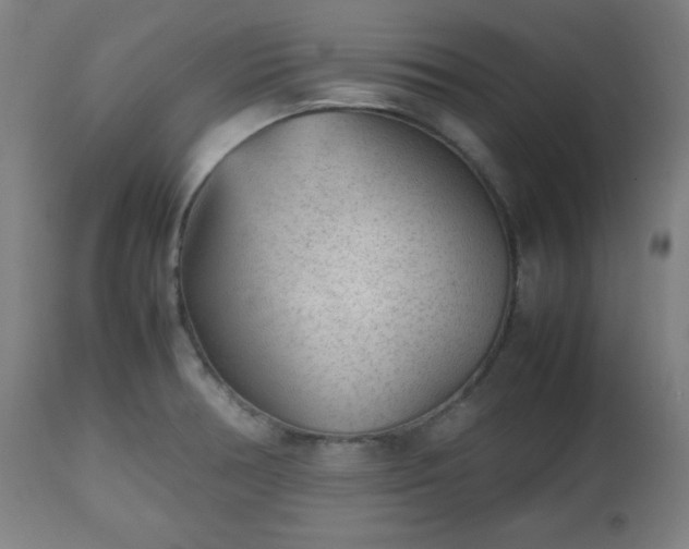 X0000112511378200908241409