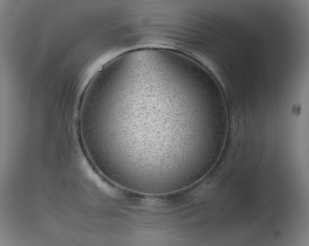 X0000112511379200908241409