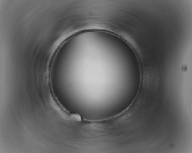 X0000112511380200908241409