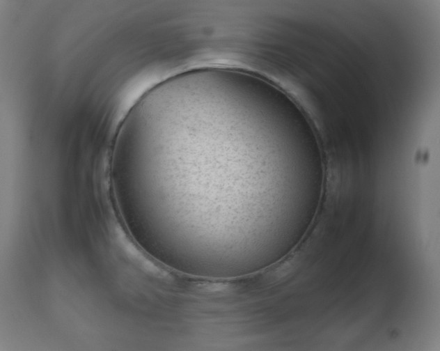 X0000112511382200908241409