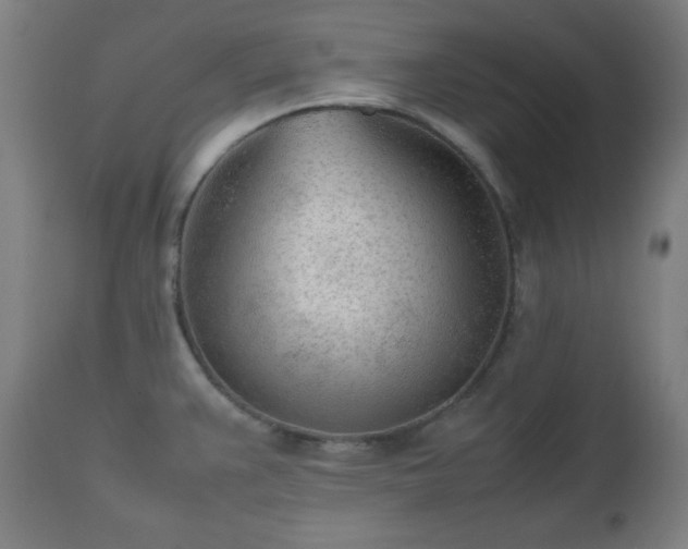 X0000112511383200908241409