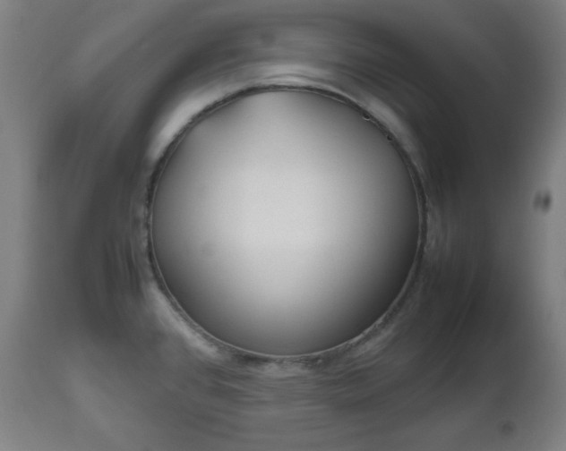 X0000112511384200908241409