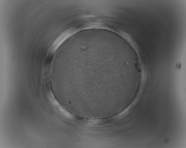 X0000112511385200908241409