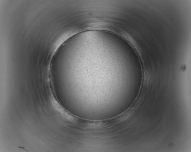 X0000112511386200908241409