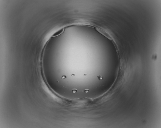 X0000112511387200908241409