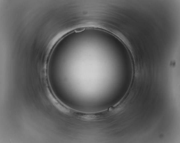 X0000112511388200908241409