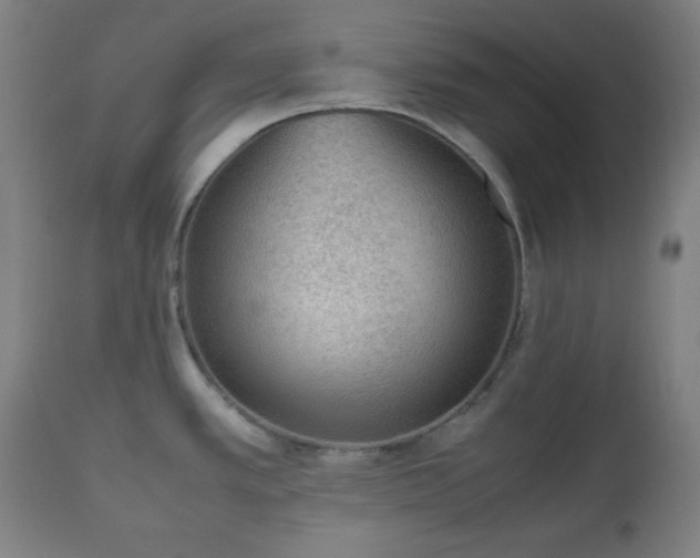 X0000112511389200908241409