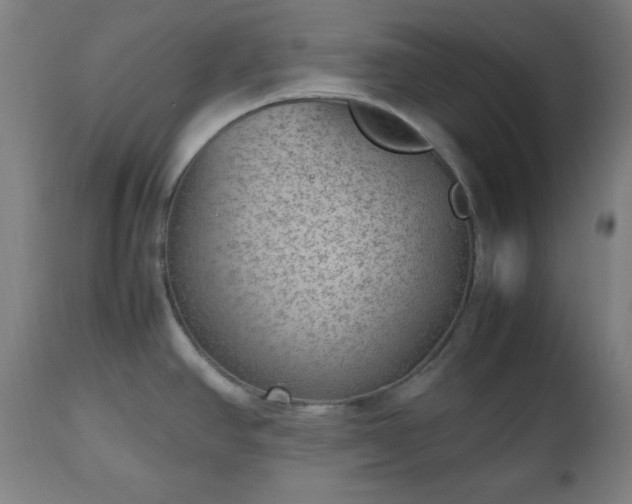 X0000112511390200908241409