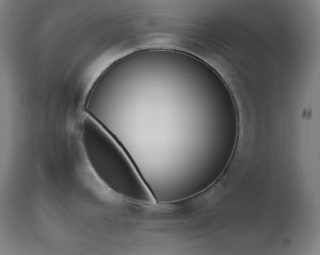 X0000112511392200908241409