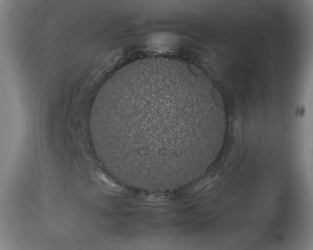 X0000112511393200908241409