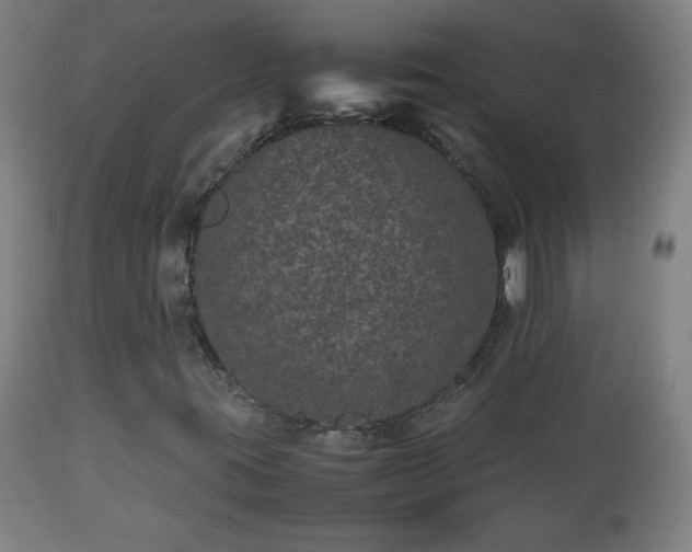 X0000112511395200908241409