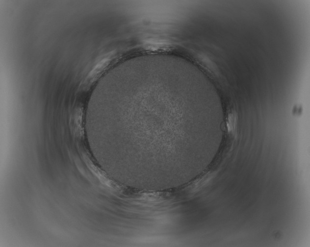 X0000112511396200908241409