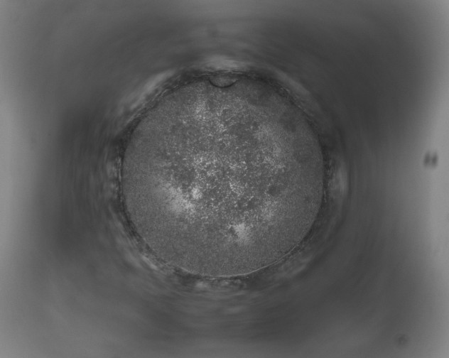 X0000112511397200908241409