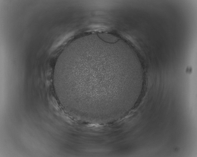 X0000112511399200908241409