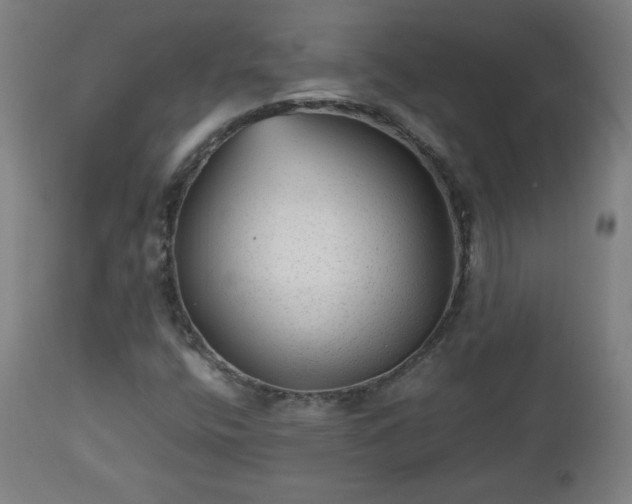 X0000112511400200908241409