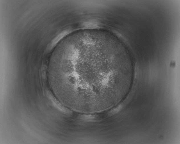 X0000112511401200908241409