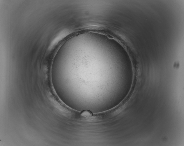 X0000112511402200908241409