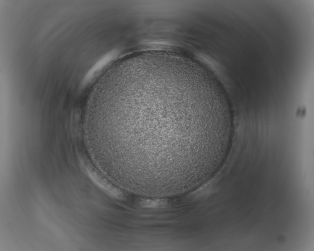 X0000112511403200908241409