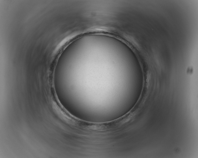 X0000112511404200908241409