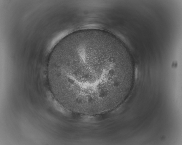 X0000112511405200908241409