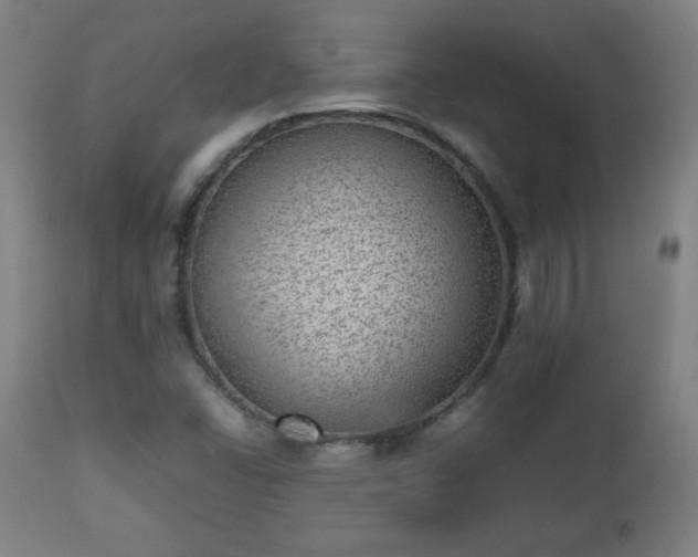 X0000112511406200908241409