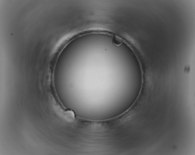 X0000112511408200908241409