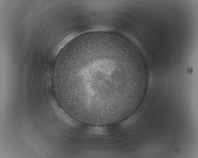 X0000112511409200908241409