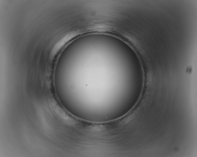 X0000112511410200908241409