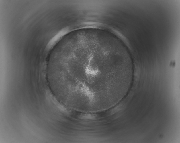 X0000112511411200908241409