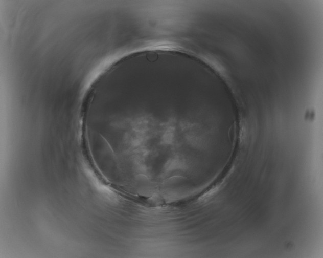 X0000112511414200908241409