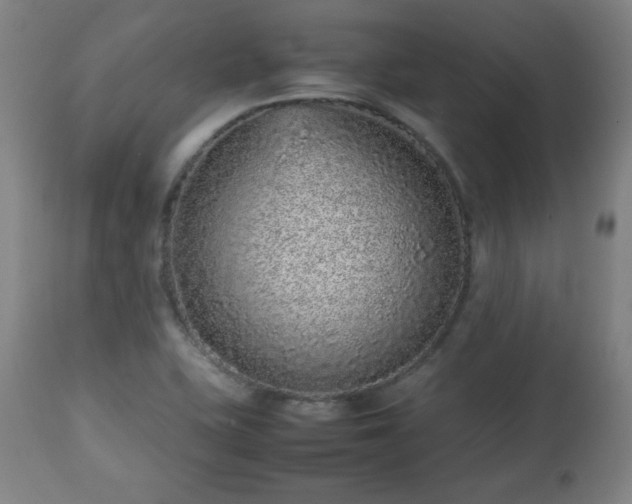 X0000112511415200908241409