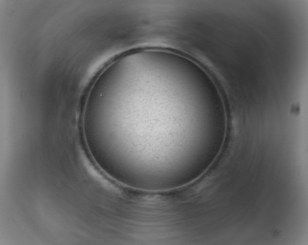 X0000112511416200908241409