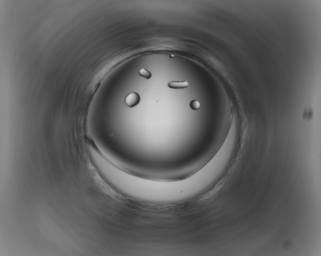 X0000112511417200908241409