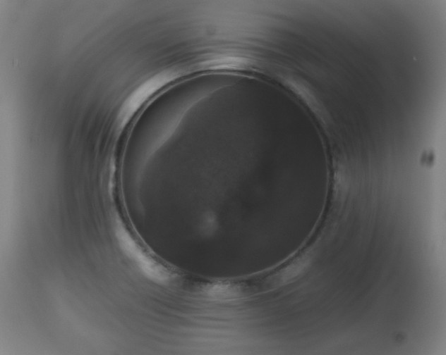 X0000112511418200908241409