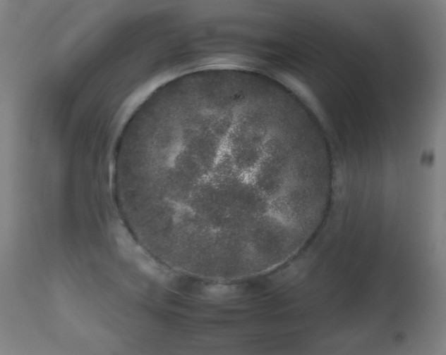 X0000112511419200908241409