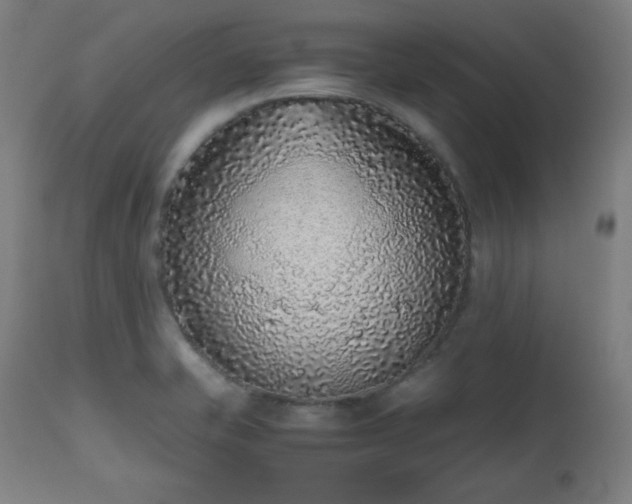 X0000112511421200908241409