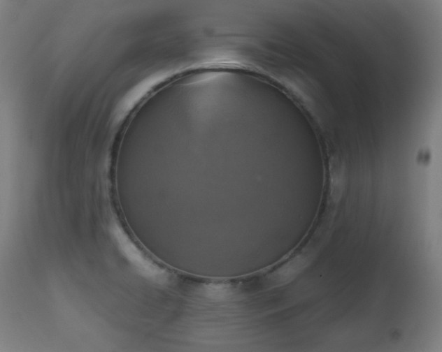 X0000112511422200908241409