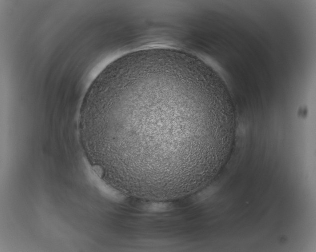 X0000112511423200908241409